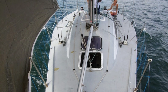 Carroll Marine Mumm 36 usado à venda