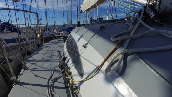 Carroll Marine Mumm 36 usado à venda