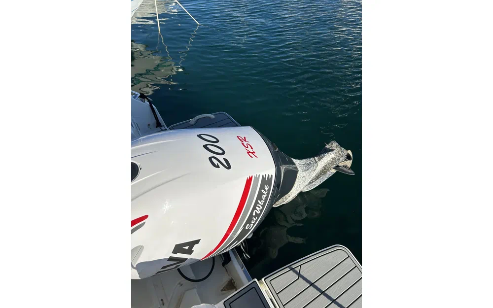 Karnic SL651 usata in vendita