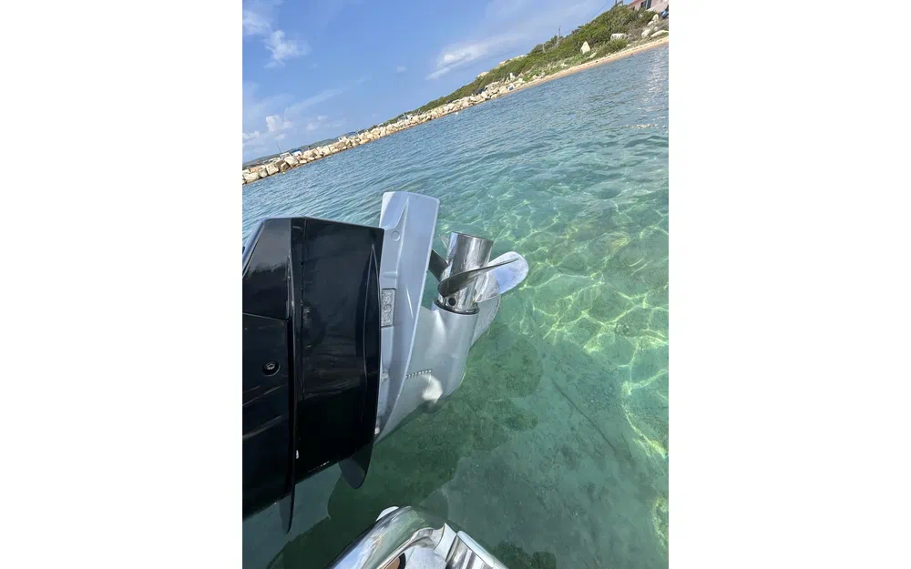 Fanale Altore 900 Cabine usata in vendita