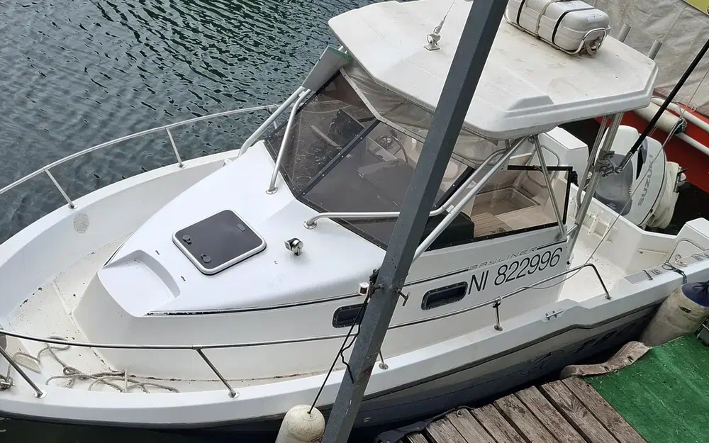 Bayliner Trophy 2502 de segunda mano en venta