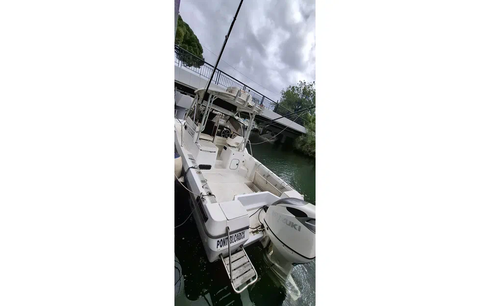 Bayliner Trophy 2502 usata in vendita
