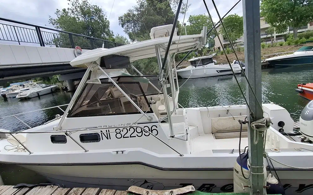 Bayliner Trophy 2502 usata in vendita