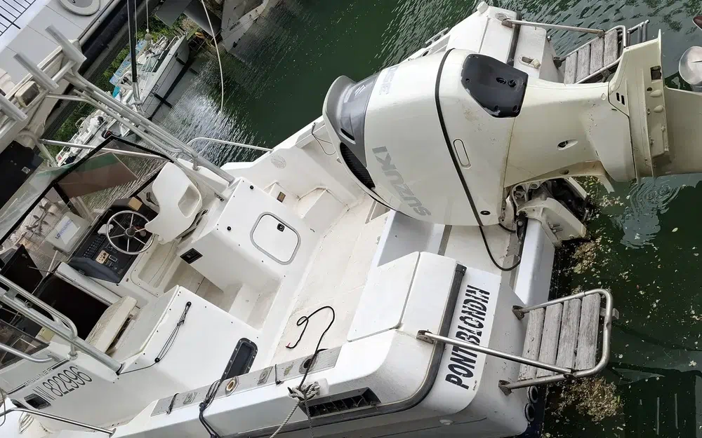 Bayliner Trophy 2502 usata in vendita