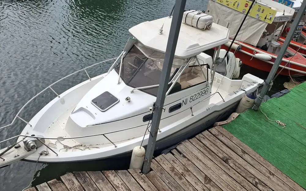 Bayliner Trophy 2502 usata in vendita