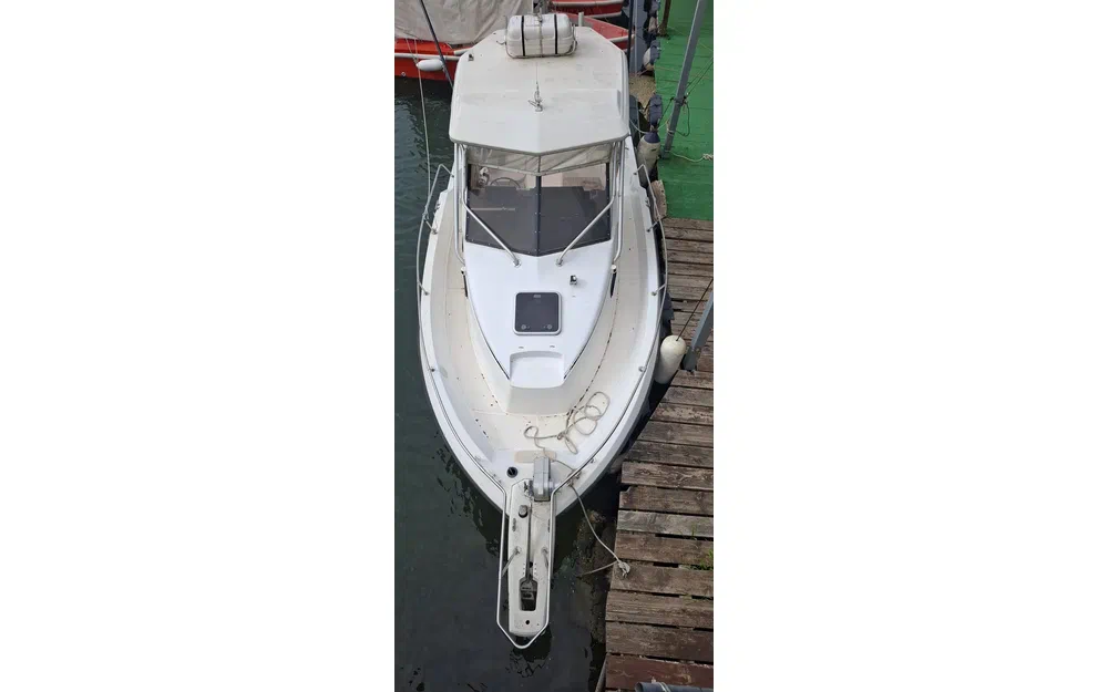 Bayliner Trophy 2502 usata in vendita