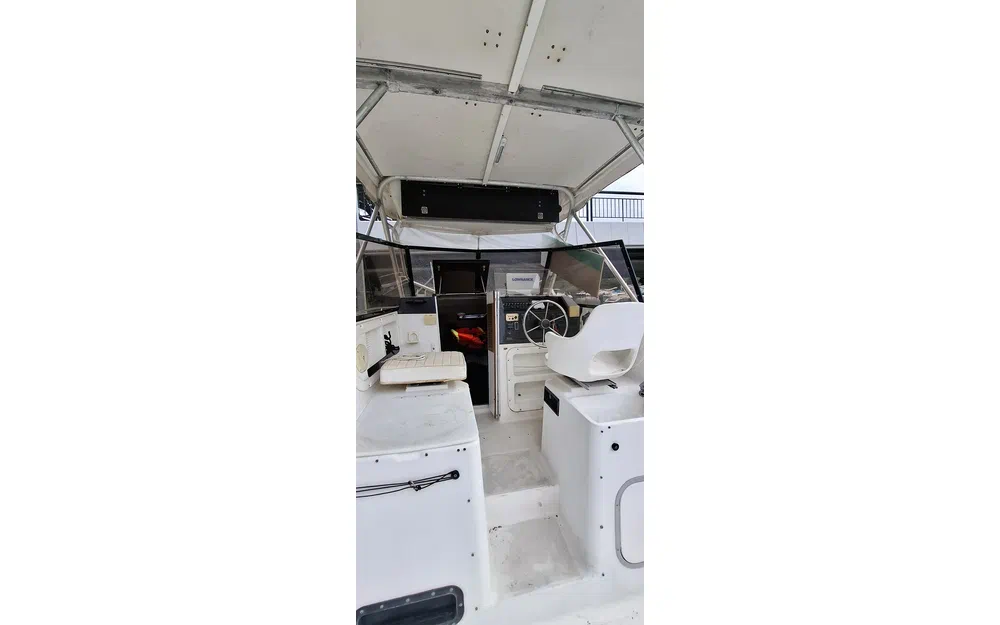 Bayliner Trophy 2502 usata in vendita