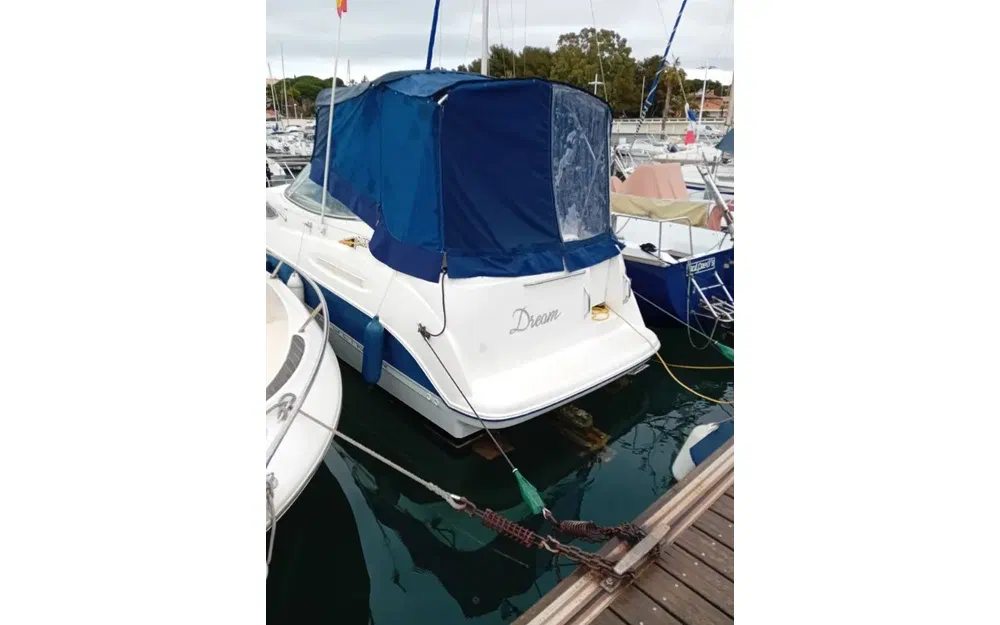 Bayliner 245 SB usata in vendita