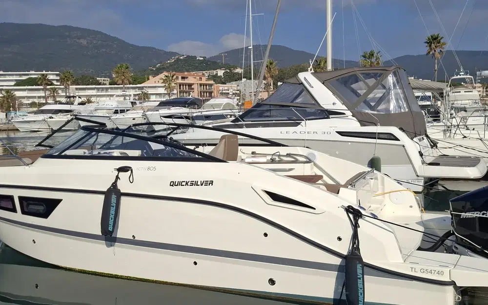 Quicksilver Cruiser Activ 805 usado à venda