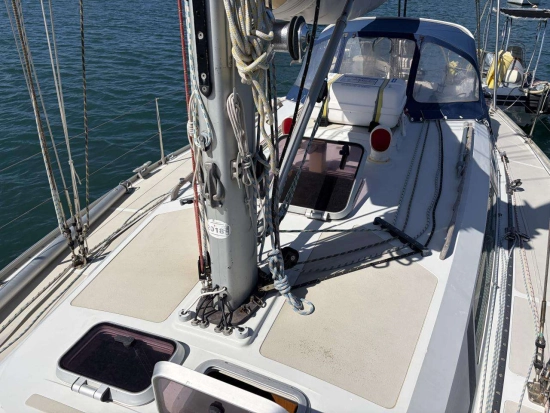 DICK RUS YACHTING WINNER 11.20 usata in vendita