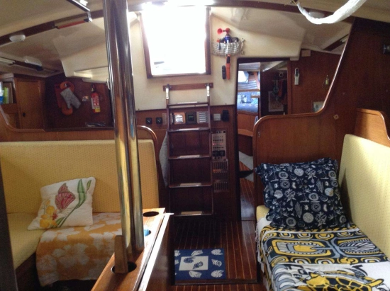 Wauquiez AMPHITRITE 43 de segunda mano en venta