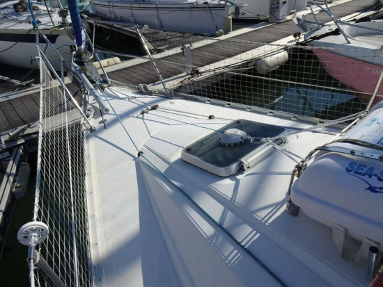 Jeanneau Sun Odyssey 31 usata in vendita
