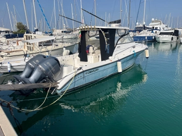 Century boats 2900 EXPRESS de segunda mano en venta