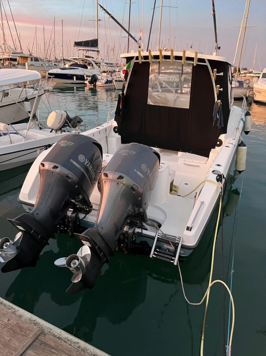 Century boats 2900 EXPRESS usata in vendita