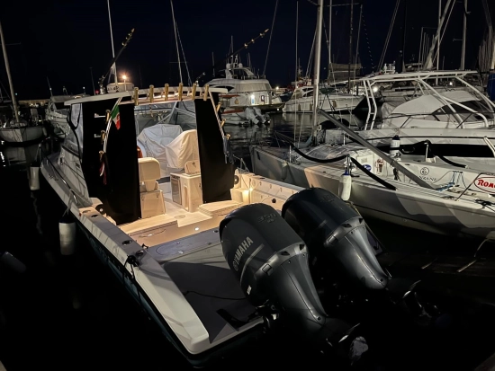 Century boats 2900 EXPRESS usata in vendita
