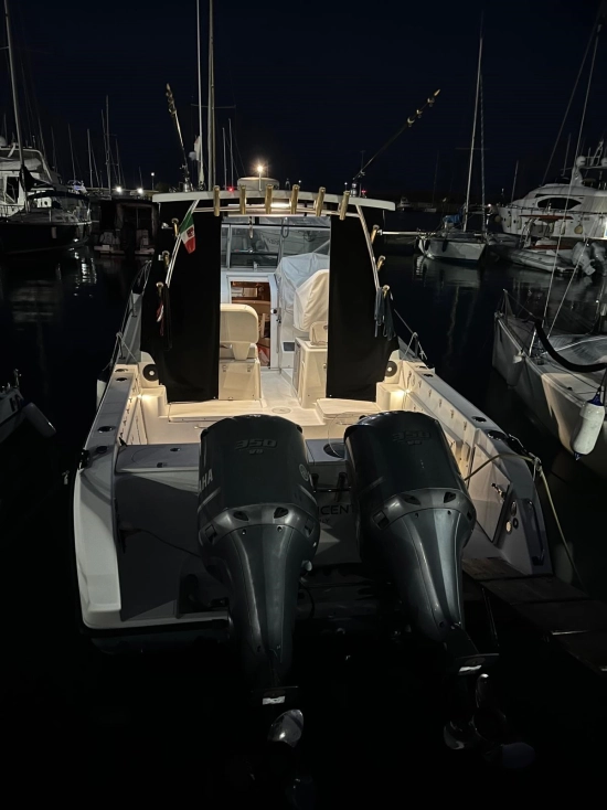 Century boats 2900 EXPRESS usata in vendita