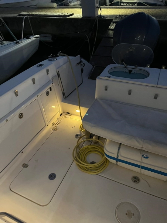 Century boats 2900 EXPRESS usata in vendita