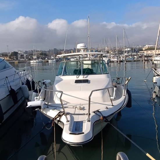 Pursuit 3070 Offshore Center Console usata in vendita