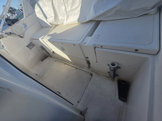 Marlin Boats 22 usata in vendita