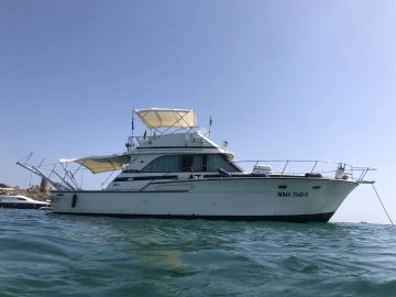 Bertram 46.6 Convertible usado à venda