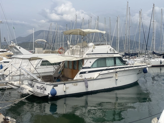 Bertram 46.6 Convertible usado à venda