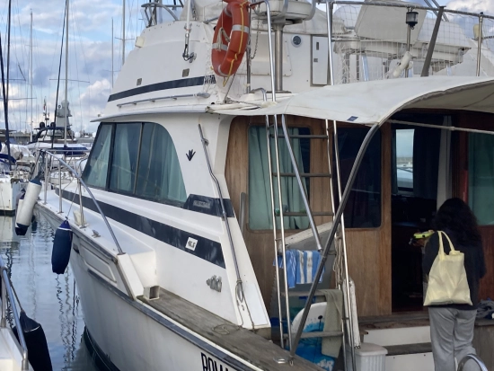 Bertram 46.6 Convertible usado à venda