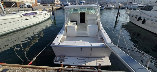 Cabo Yachts 31 Express usata in vendita