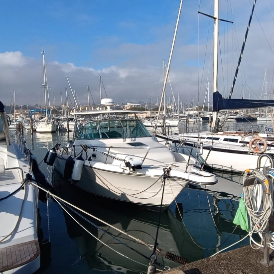 Pursuit 3070 Offshore Center Console usata in vendita