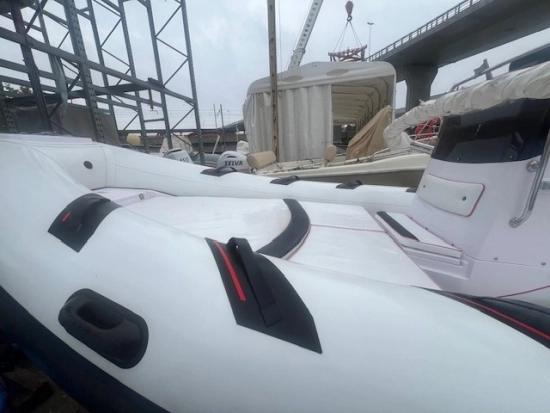 Selva Marine D.650 FAMILY SPECIAL usado à venda