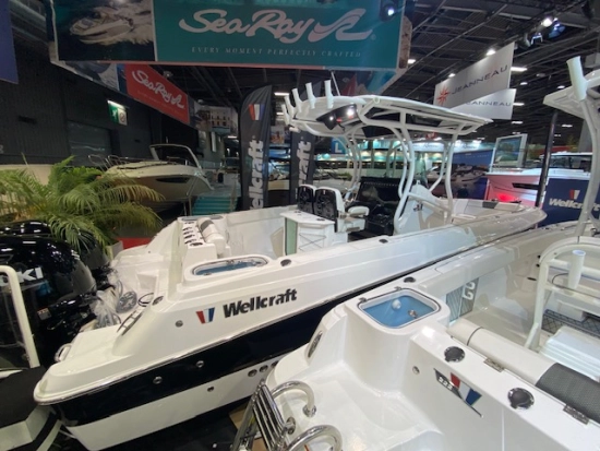 Wellcraft 262 Fisherman de segunda mano en venta