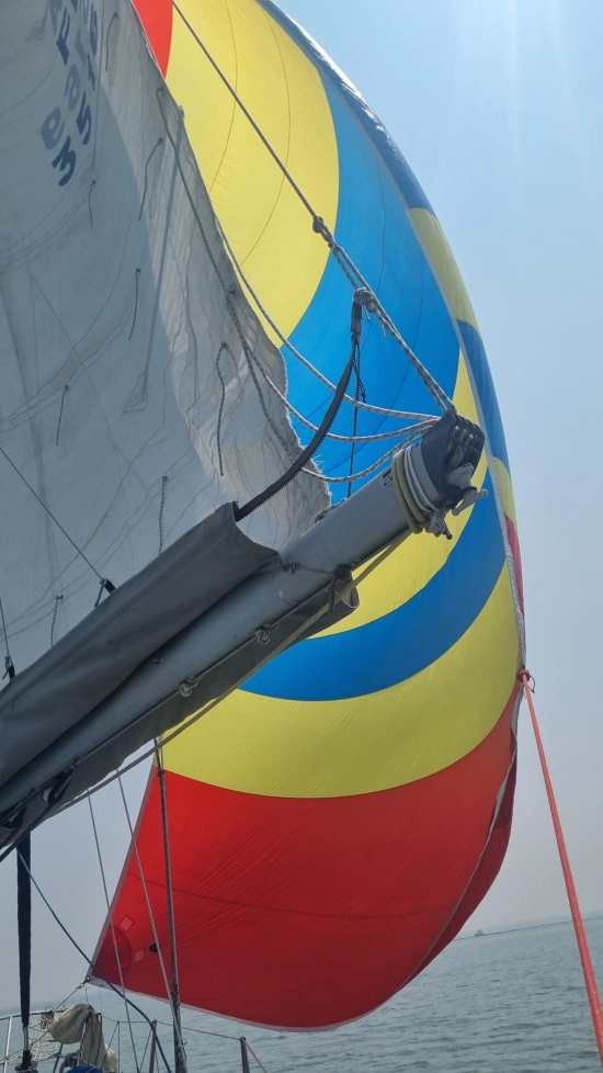 Dufour Yachts 31 de segunda mano en venta
