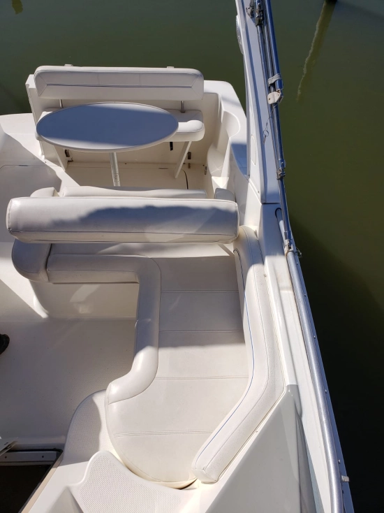 Bayliner 285 Ciera usado à venda
