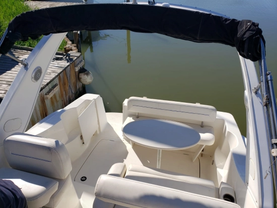 Bayliner 285 Ciera usado à venda
