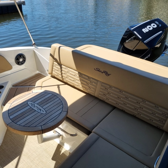 Sea Ray SPX 210 HB usata in vendita