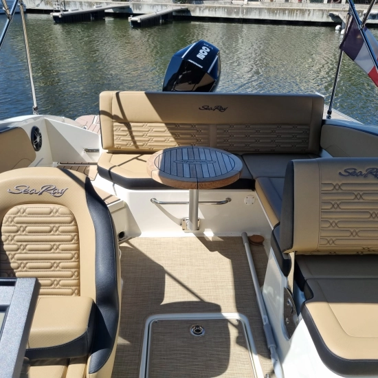 Sea Ray SPX 210 HB usata in vendita