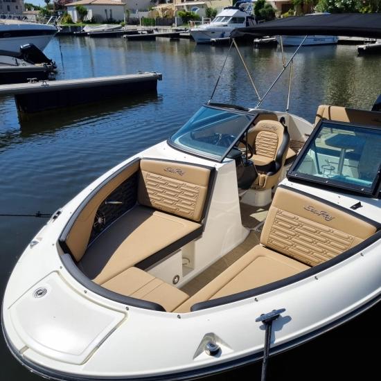 Sea Ray SPX 210 HB usata in vendita