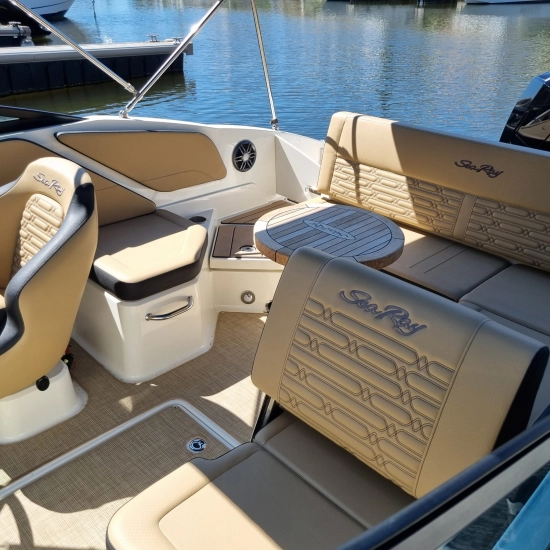 Sea Ray SPX 210 HB usata in vendita
