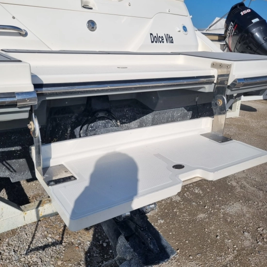 Sea Ray SPX 230 usado à venda