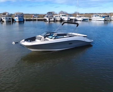 Sea Ray SPX 230 usata in vendita