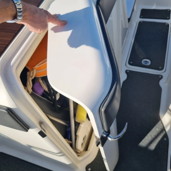 Sea Ray SPX 230 usado à venda