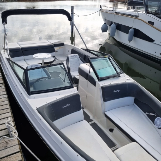 Sea Ray SPX 230 usado à venda