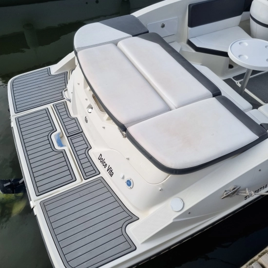 Sea Ray SPX 230 usado à venda