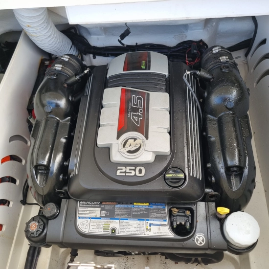 Sea Ray SPX 230 usado à venda