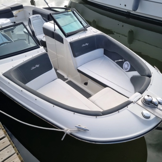 Sea Ray SPX 230 usado à venda