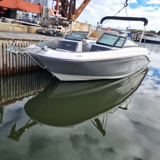 Sea Ray SPX 230 usado à venda