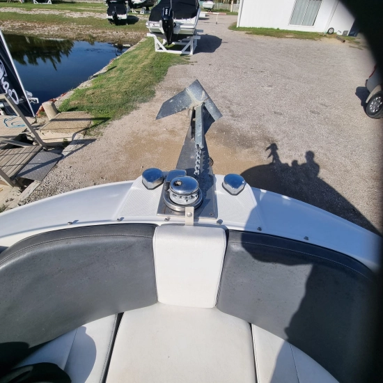 Sea Ray SPX 230 usado à venda
