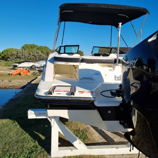 Sea Ray SPX 210 Ob usata in vendita