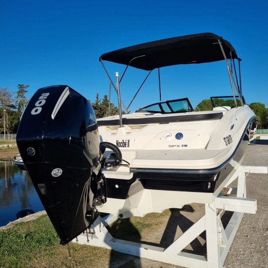 Sea Ray SPX 210 Ob usata in vendita
