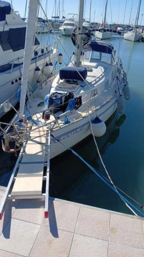 Hallberg Rassy 31 MONSUN usata in vendita