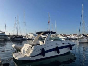Sea Ray Sundancer 315 usata in vendita